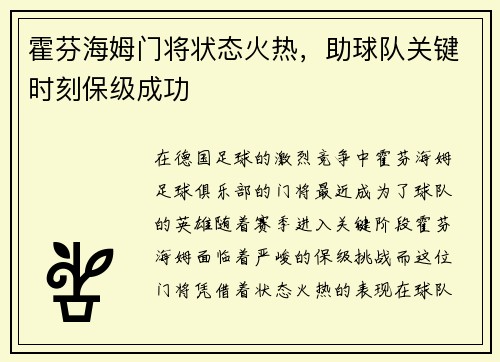 霍芬海姆门将状态火热，助球队关键时刻保级成功